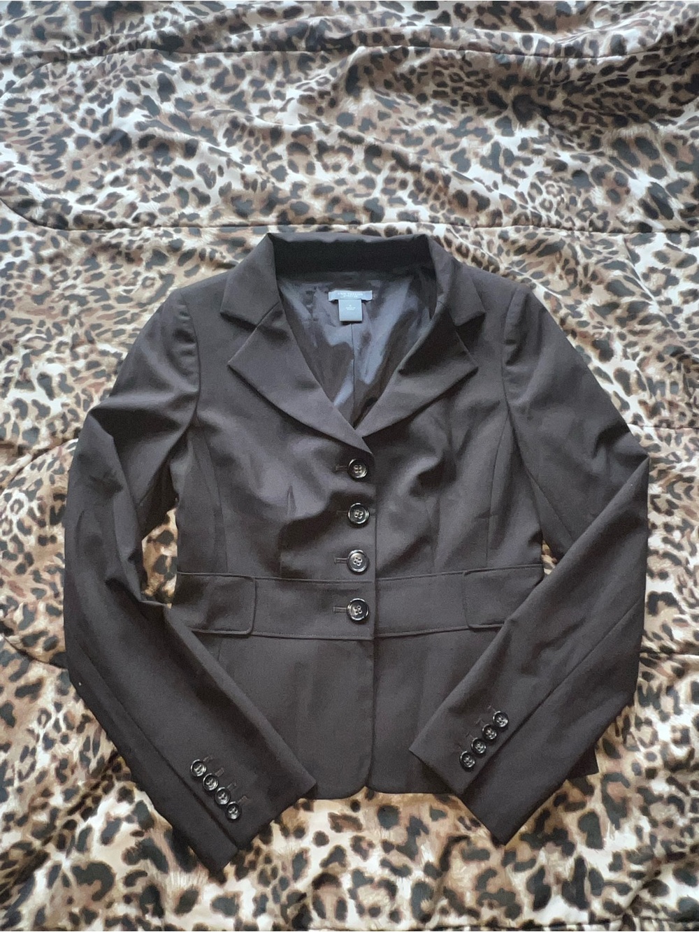 Ann Taylor Dark Brown Tailored Women's Blazer